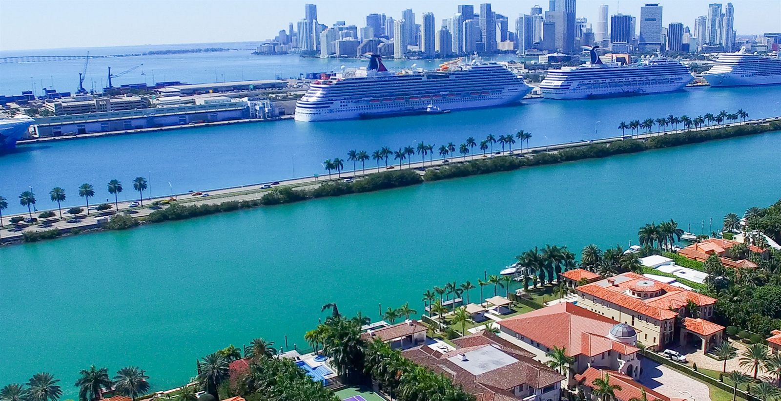 Large ocean cruise ships in port